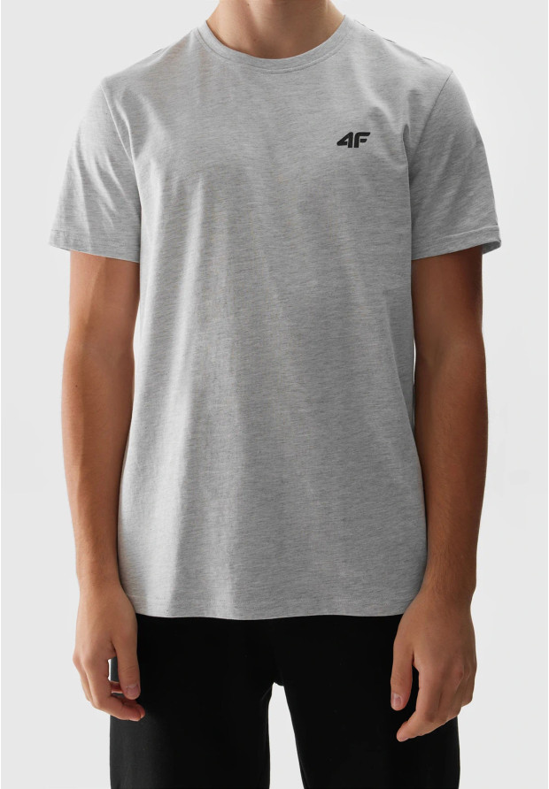 Koszulka Męska 4F Sportowy T-shirt Szary Regular TTSHM1154