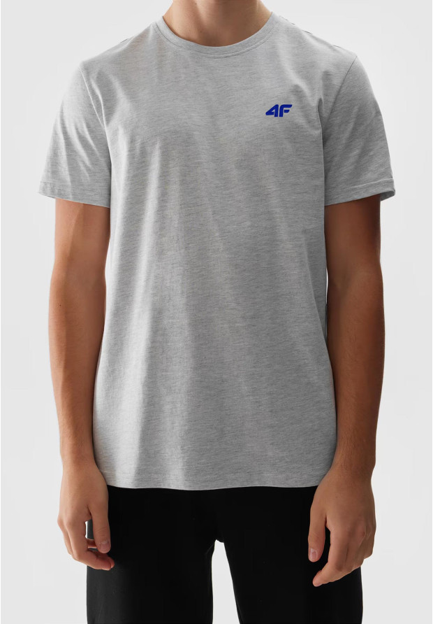 Koszulka Męska 4F Jasny Szary Sportowy T-shirt Regular 4FWSS24TTSHM1887