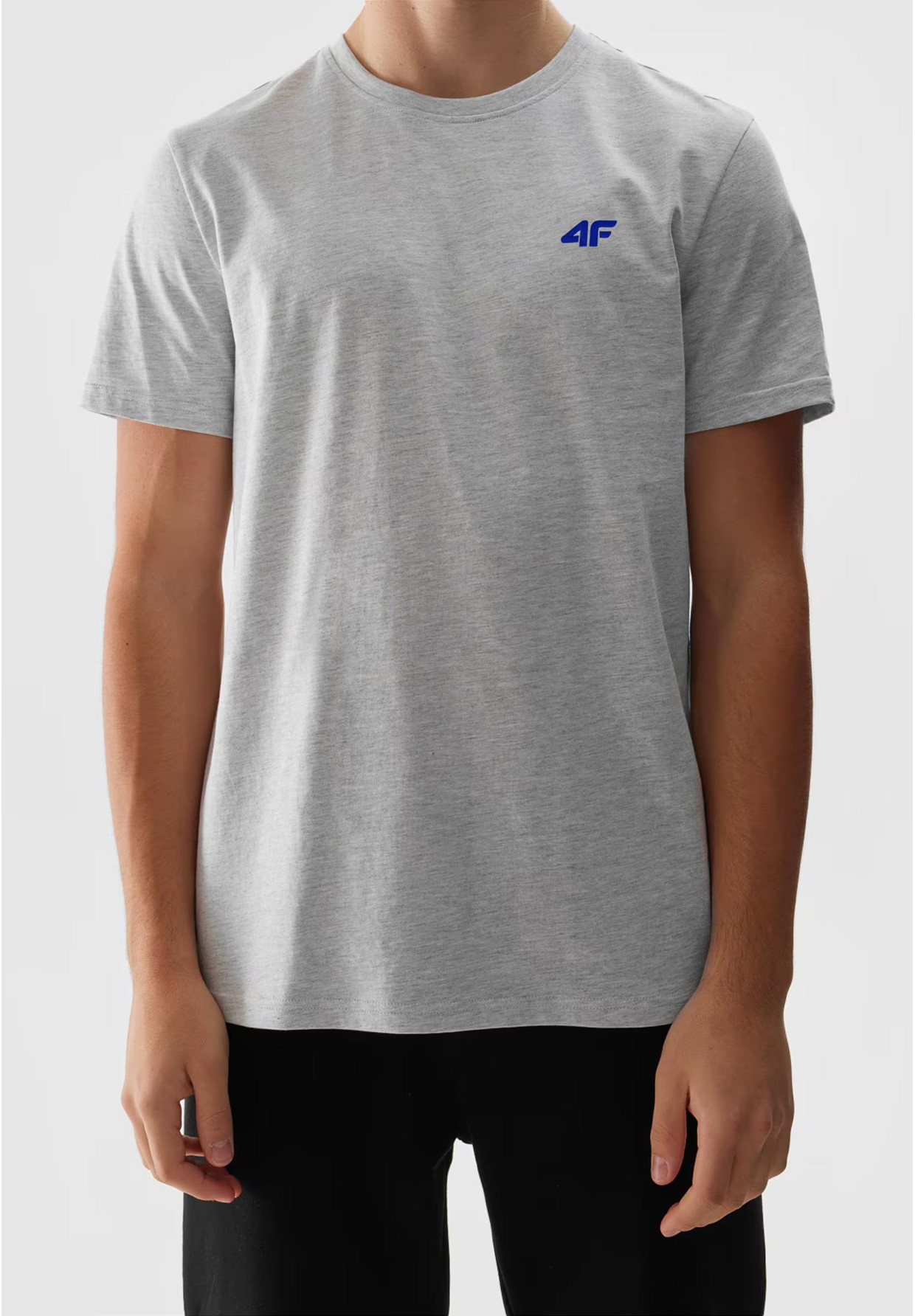 Koszulka Męska 4F Jasny Szary Sportowy T-shirt Regular 4FWSS24TTSHM1887