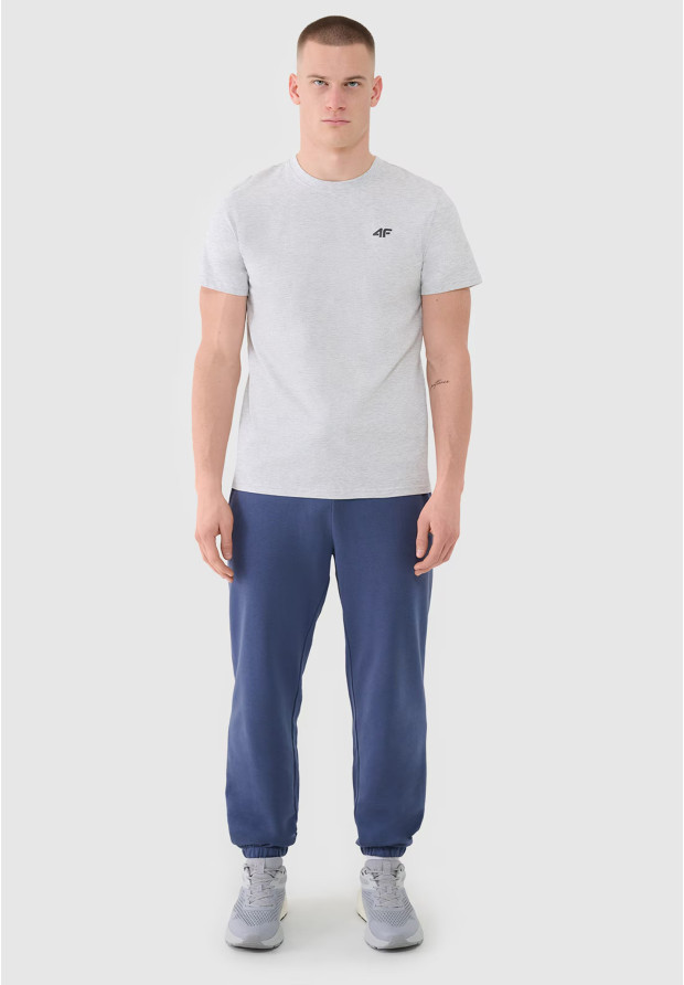 Koszulka Męska 4F T-shirt Basic Regular Szary 4FWMM00TTSHM2256