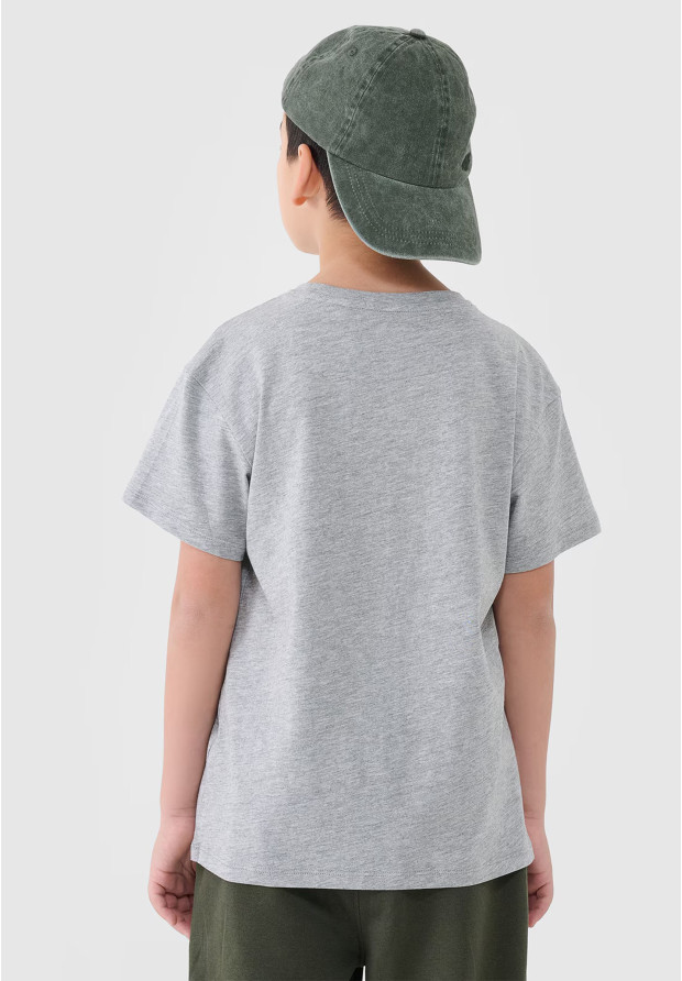 Koszulka Chłopięca 4F T-shirt Szary 4FJWMM00TTSHM2330