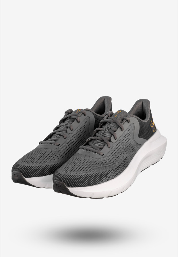 Sneakersy Męskie Under Armour Buty Sportowe Szare UA Charged Rogue 5