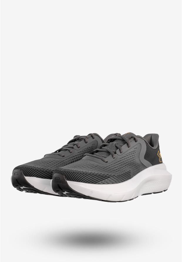 Sneakersy Męskie Under Armour Buty Sportowe Szare UA Charged Rogue 5