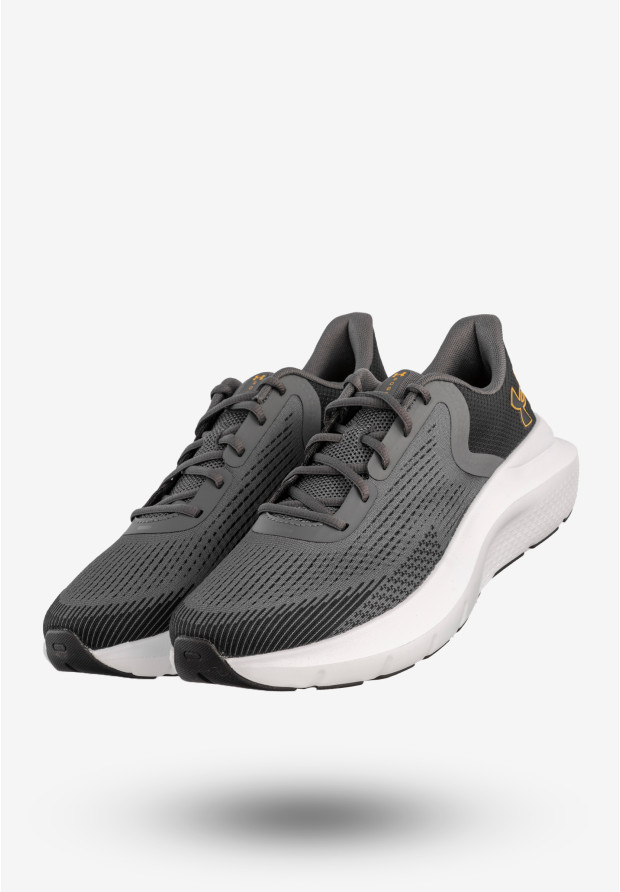 Sneakersy Męskie Under Armour Buty Sportowe Szare UA Charged Rogue 5
