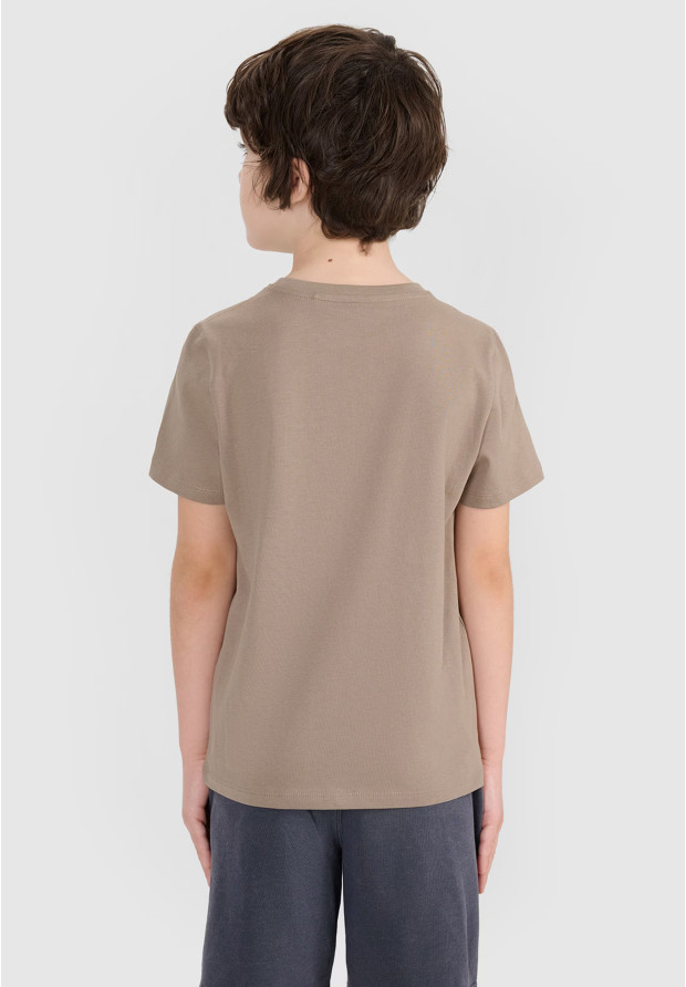 Koszulka Chłopięca 4F T-shirt Z Nadrukiem Beżowa 4FJRSS24TTSHM2210