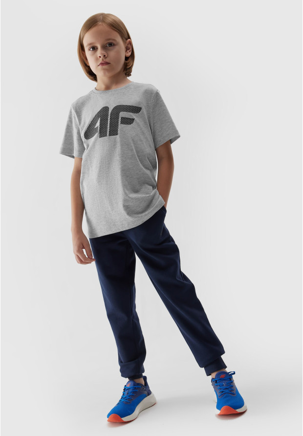 Koszulka Chłopięca 4F T-shirt Z Nadrukiem Szara 4FJAW23TTSHM0794