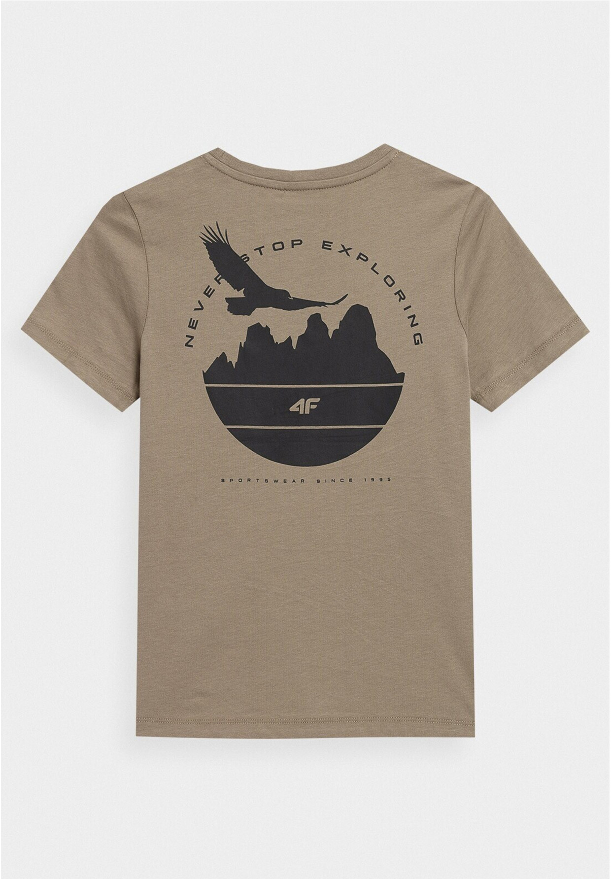 Koszulka Chłopięca 4F T-shirt Z Nadrukiem Beżowa 4FJSS23TTSHM321