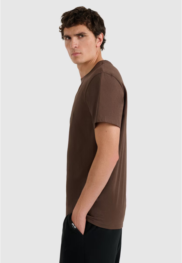 Koszulka Męska 4F T-shirt Z Nadrukiem Regular Brązowa 4FWAW25TTSHM3138