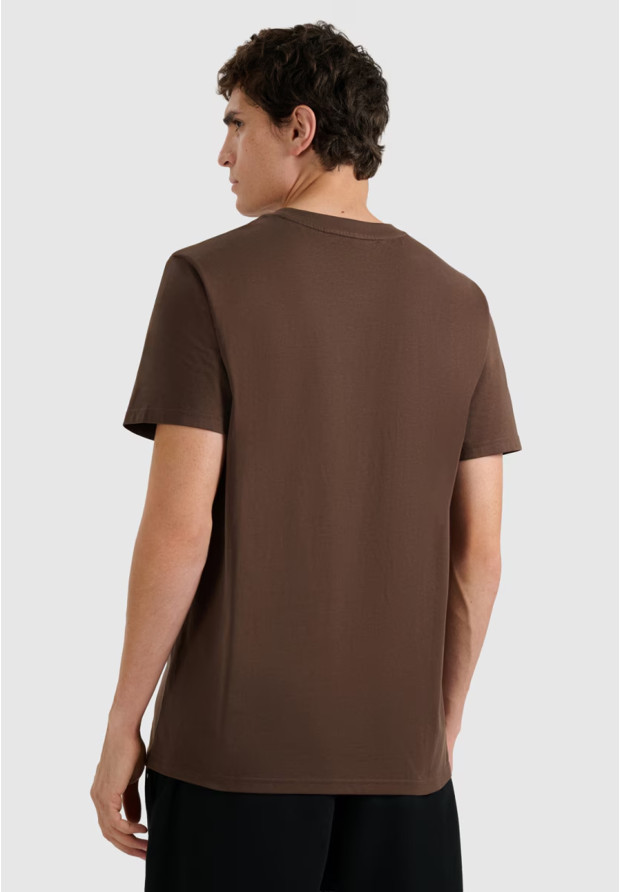 Koszulka Męska 4F T-shirt Z Nadrukiem Regular Brązowa 4FWAW25TTSHM3138