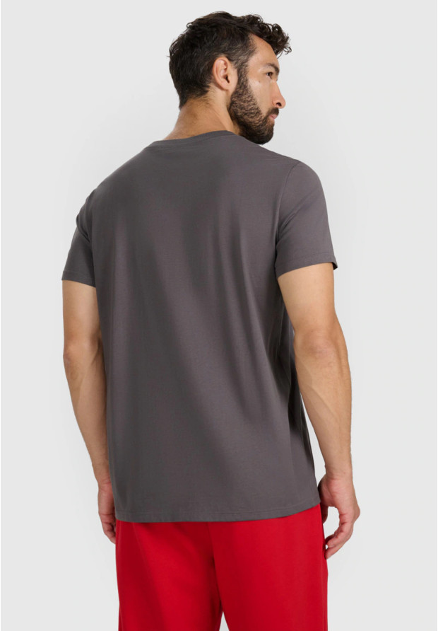 Koszulka Męska 4F T-shirt Z Nadrukiem Regular Szara 4FWAW25TTSHM3131