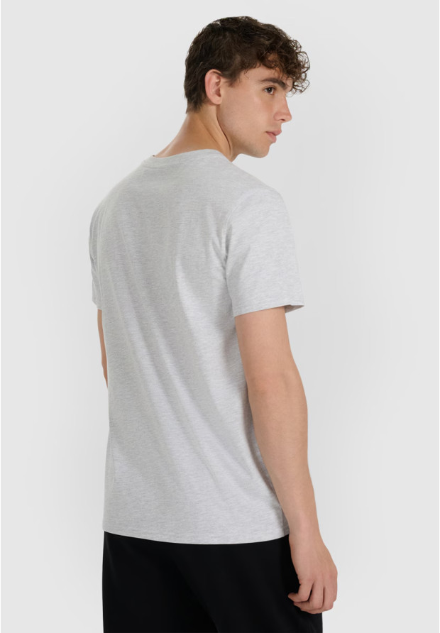 Koszulka Męska 4F T-shirt Z Nadrukiem Regular Szary 4FWMM00TTSHM2257