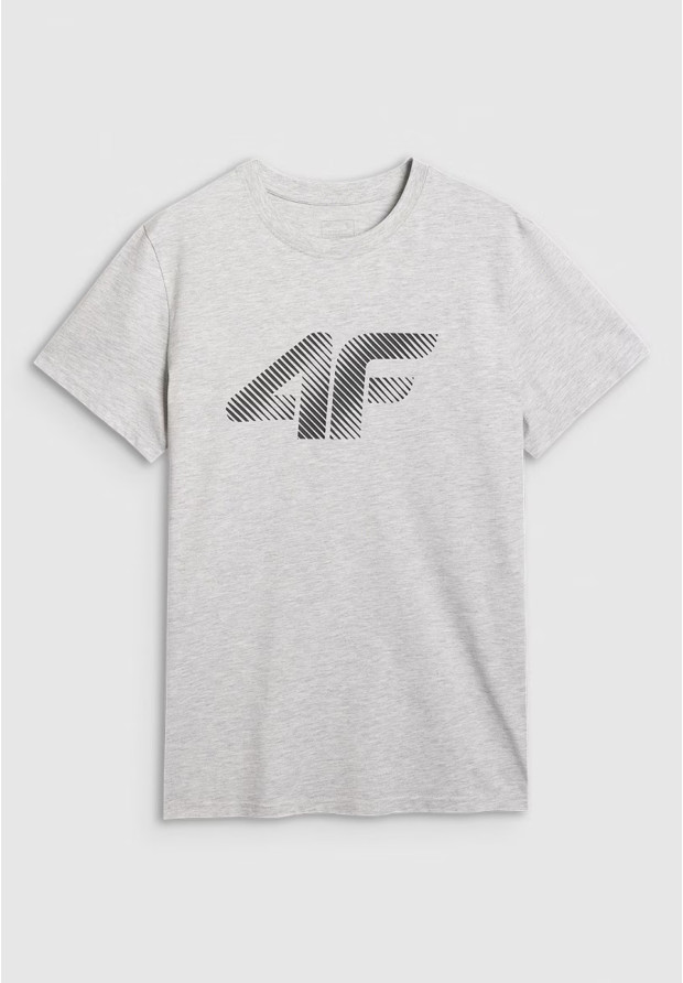 Koszulka Męska 4F T-shirt Z Nadrukiem Regular Szary 4FWMM00TTSHM2257