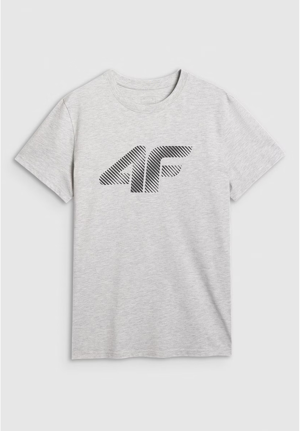 Koszulka Męska 4F T-shirt Z Nadrukiem Regular Szary 4FWMM00TTSHM2257