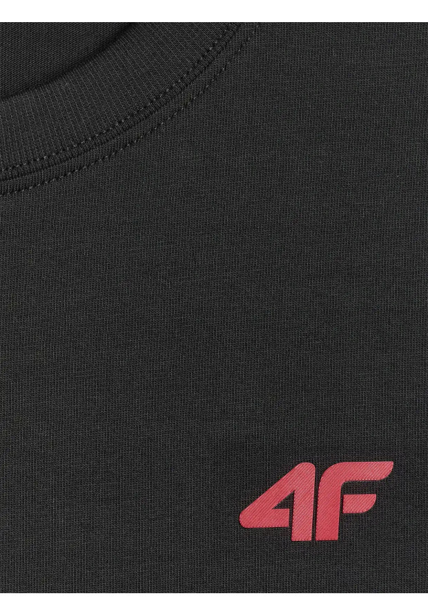 Koszulka Męska 4F T-shirt Z Logo Regular Czarny 4FWMM00TTSHM3341