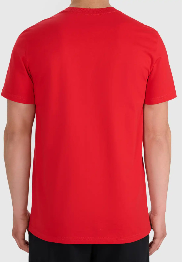 Koszulka Męska 4F T-shirt Z Logo Regular Czerwony 4FWMM00TTSHM3341