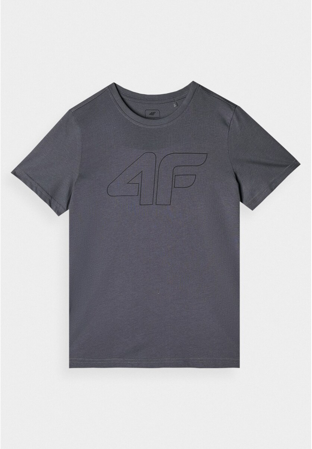 Koszulka Chłopięca 4F T-shirt Regular z logo Szary 4FJWMM00TTSHM1627