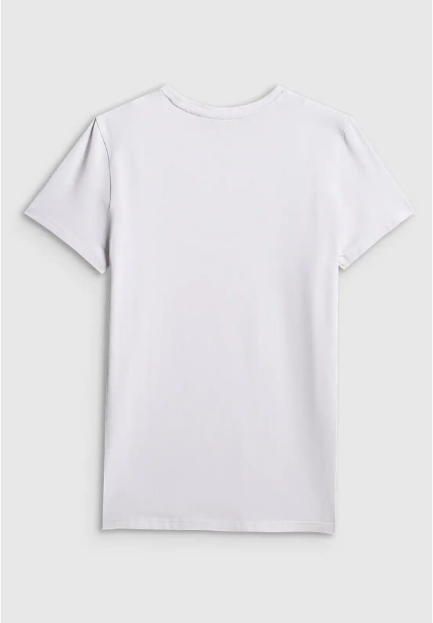 Koszulka Męska 4F T-shirt Basic Regular Biały 4FWMM00TTSHM3340
