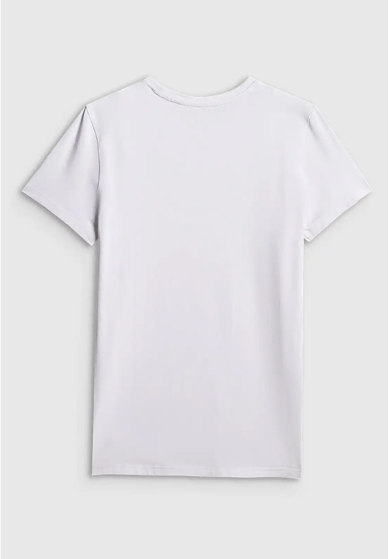 Koszulka Męska 4F T-shirt Basic Regular Biały 4FWMM00TTSHM3340