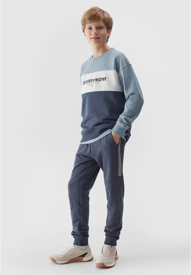 Spodnie Dresowe Chłopięce 4F Joggery Sportowe Regular Szare 4FJWSS24TTROM589