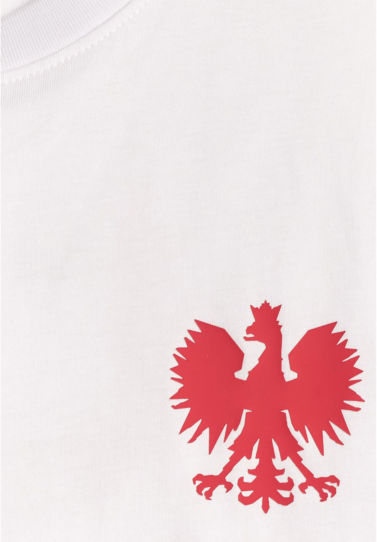 Koszulka Męska 4F Polska Sportowa T-Shirt Patriotyczny Biały 4FRSS26TTSHM4203
