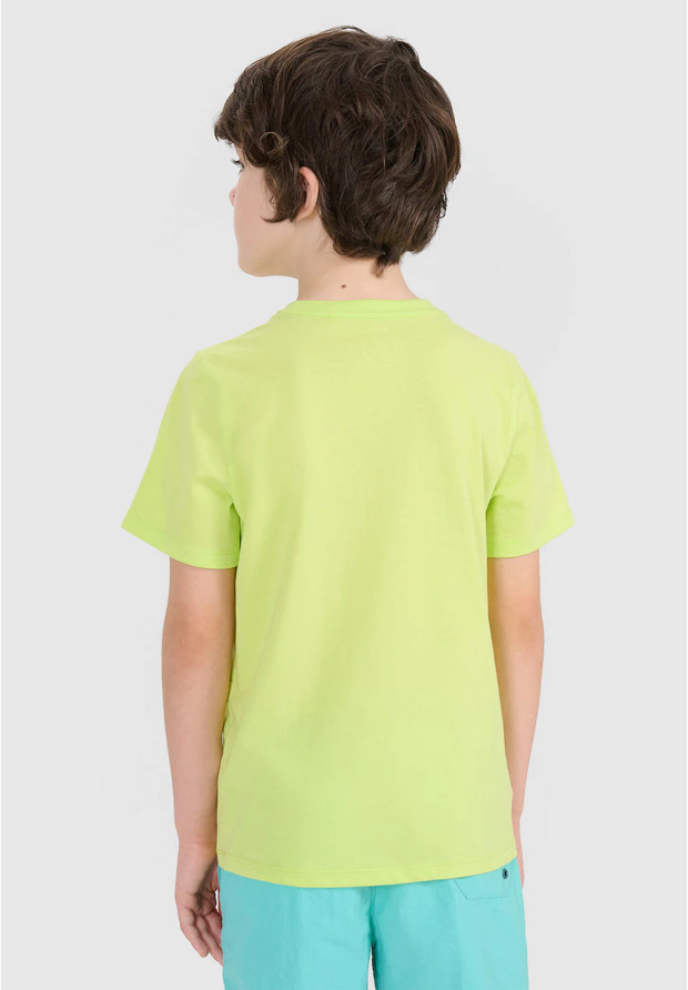 Koszulka Chłopięca 4F Sportowa Bawełniana Z Logo T-Shirt Zielony 4FJWSS25TTSHM1917