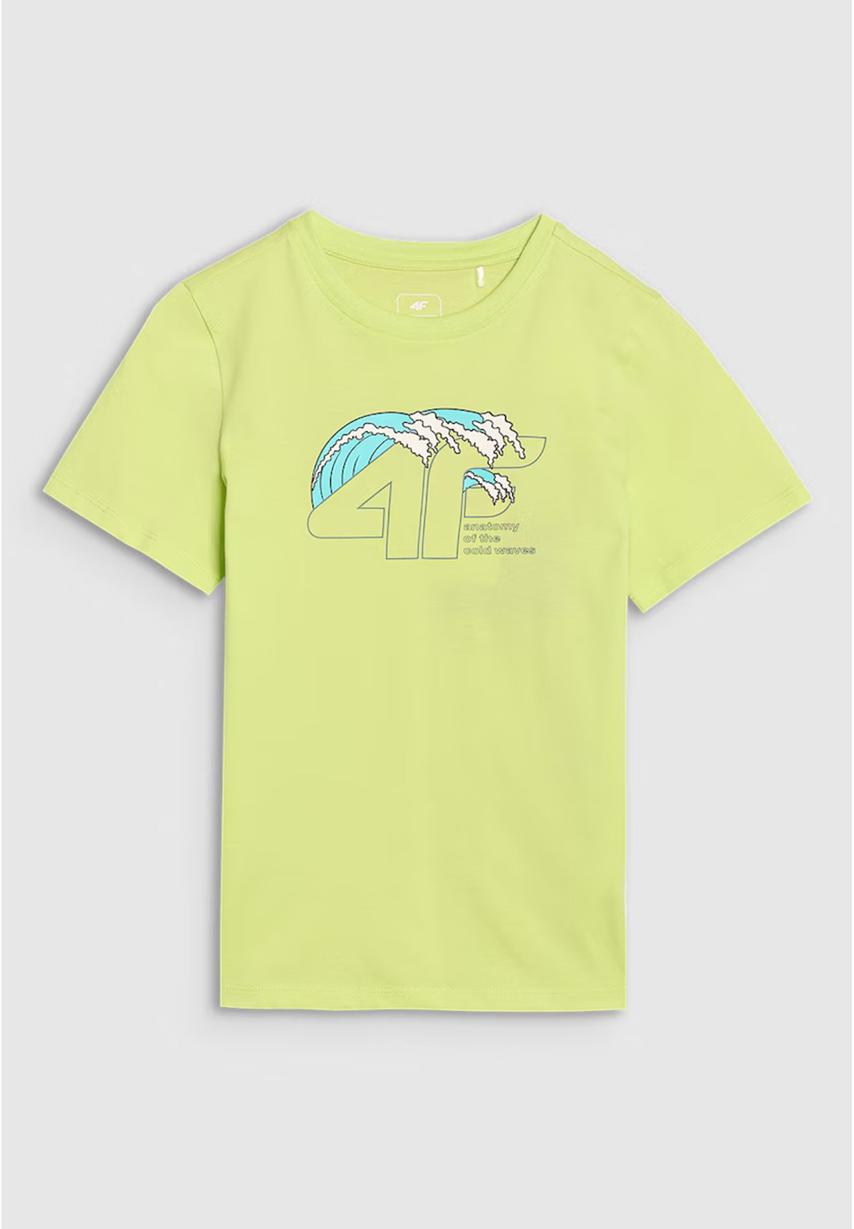 Koszulka Chłopięca 4F Sportowa Bawełniana Z Logo T-Shirt Zielony 4FJWSS25TTSHM1917