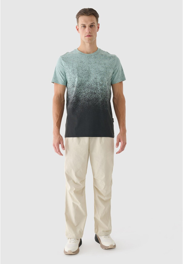 Koszulka Męska 4F Sportowa Bawełniana T-Shirt Regular Nadruk Ombre 4FRSS24TTSHM2538