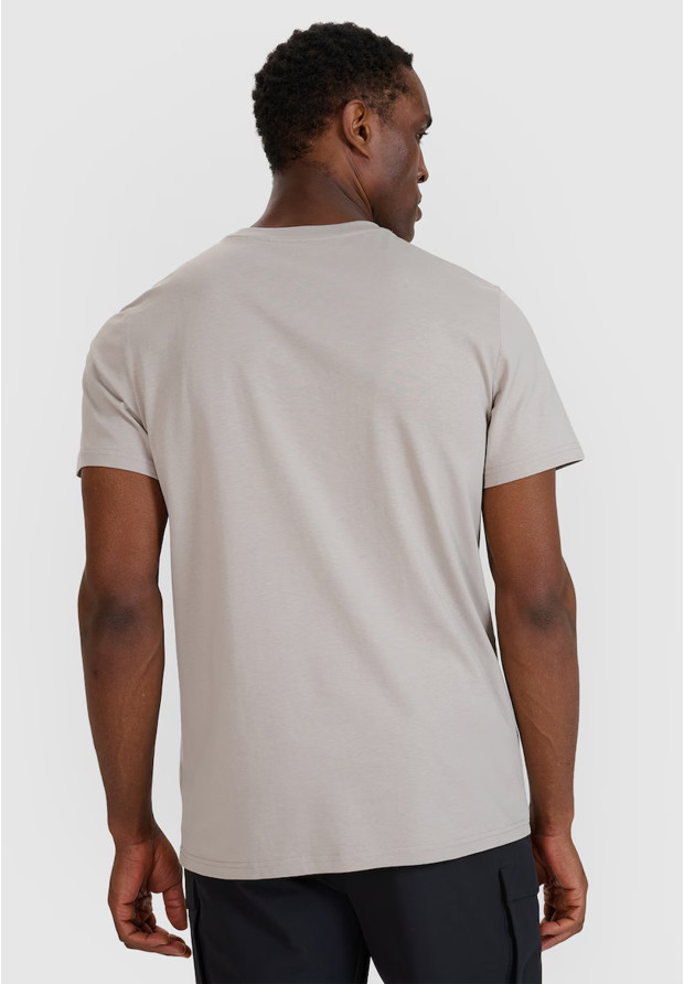 Koszulka Męska 4F Sportowa Bawełniana T-Shirt Regular Nadruk Szary 4FWSS25TTSHM2209