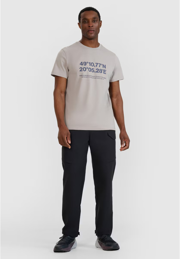 Koszulka Męska 4F Sportowa Bawełniana T-Shirt Regular Nadruk Szary 4FWSS25TTSHM2209