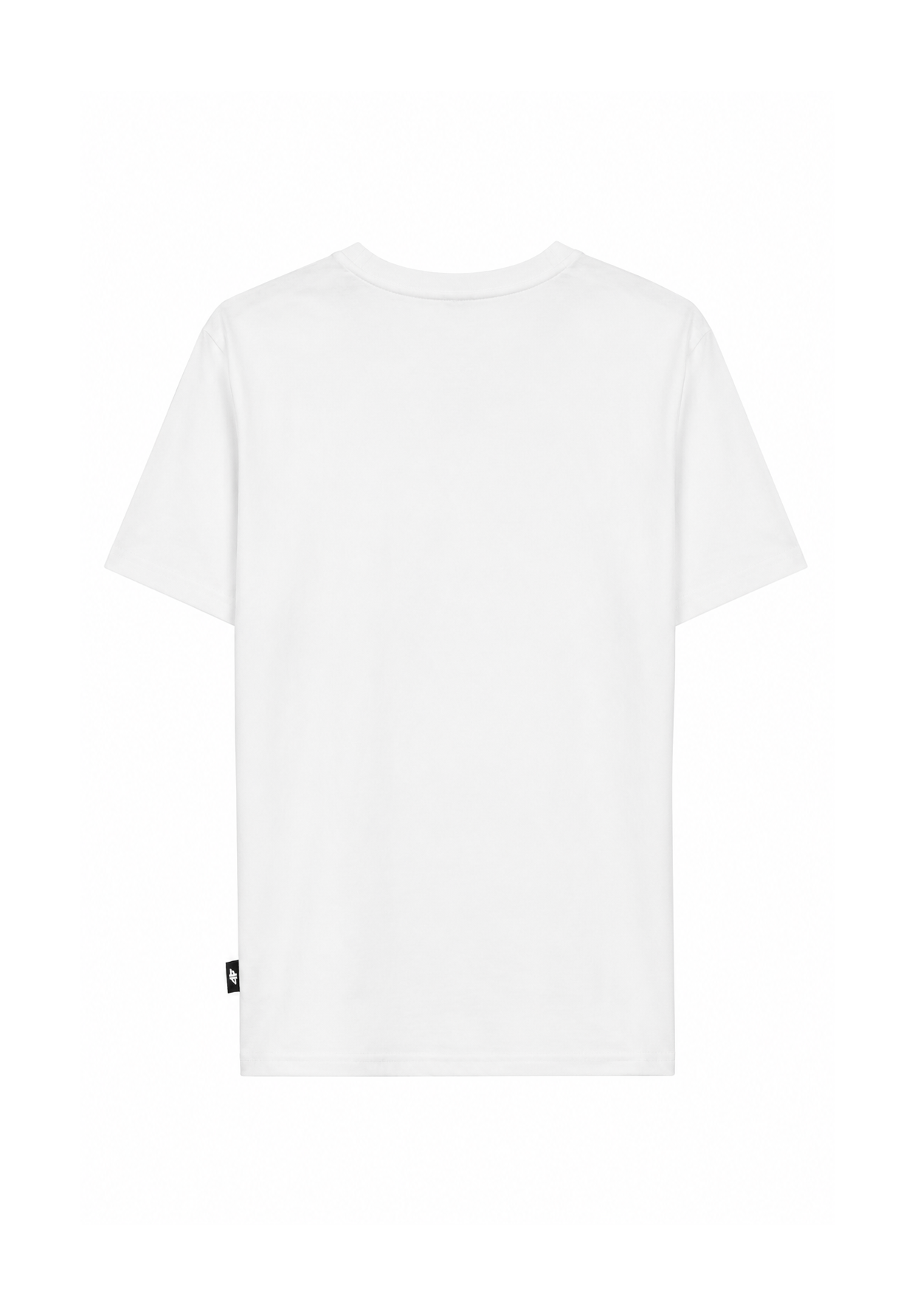 Koszulka Męska 4F Bawełniana Regular Fit Edycja Limitowana T-Shirt Basic Biały 4FWSS26TTSHM3971