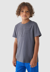 Koszulka Chłopięca 4F T-shirt Regular z logo Szary 4FJWMM00TTSHM1627