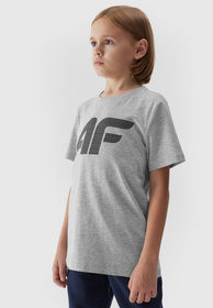 Koszulka Chłopięca 4F T-shirt Z Nadrukiem Szara 4FJAW23TTSHM0794