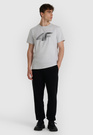 Koszulka Męska 4F T-shirt Z Nadrukiem Regular Szary 4FWMM00TTSHM2257