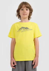 Koszulka Chłopięca 4F T-shirt Z Nadrukiem Żółty 4FJWAW25TTSHM2404