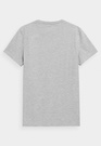 Koszulka Męska 4F Sportowy T-shirt Szary Regular 4FSS23TTSHM536