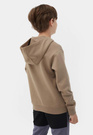 Bluza Chłopięca 4F z kapturem camel