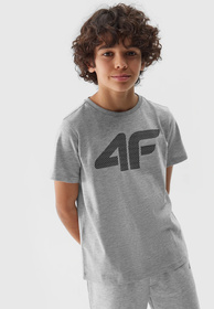 Koszulka Chłopięca 4F T-shirt z logiem Szara 4FJWSS24TTSHM1115
