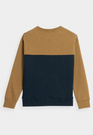 Bluza Chłopięca 4F z kapturem khaki JAW23TSWSM630-43S