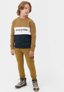 Bluza Chłopięca 4F z kapturem khaki JAW23TSWSM630-43S