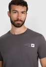 Koszulka Męska 4F T-shirt Z Nadrukiem Regular Szara 4FWAW25TTSHM3131