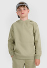 Bluza Chłopięca 4F Dresowa z Kapturem Basic Zielona 4FJWAW25TSWSM1945