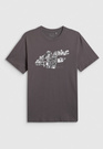 Koszulka Męska 4F T-Shirt Bawełniany Regular Sportowy Szary 4FWSS26TTSHM2659