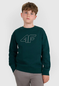 Bluza Chłopięca 4F Regular Ocieplana Dresowa Morska Zieleń 4FJWAW25TSWSM1960