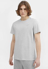 Koszulka Męska 4F Sportowy T-shirt Szary Regular 4FSS23TTSHM536