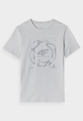 Koszulka Męska 4F Sportowy T-shirt Szary Regular 4FWAW24TTSHM1587