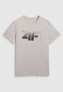 Koszulka Męska 4F T-shirt Z Nadrukiem Regular Szary 4FWAW25TTSHM2359