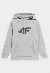 Bluza Dziecięca 4F Chłopięca Szara