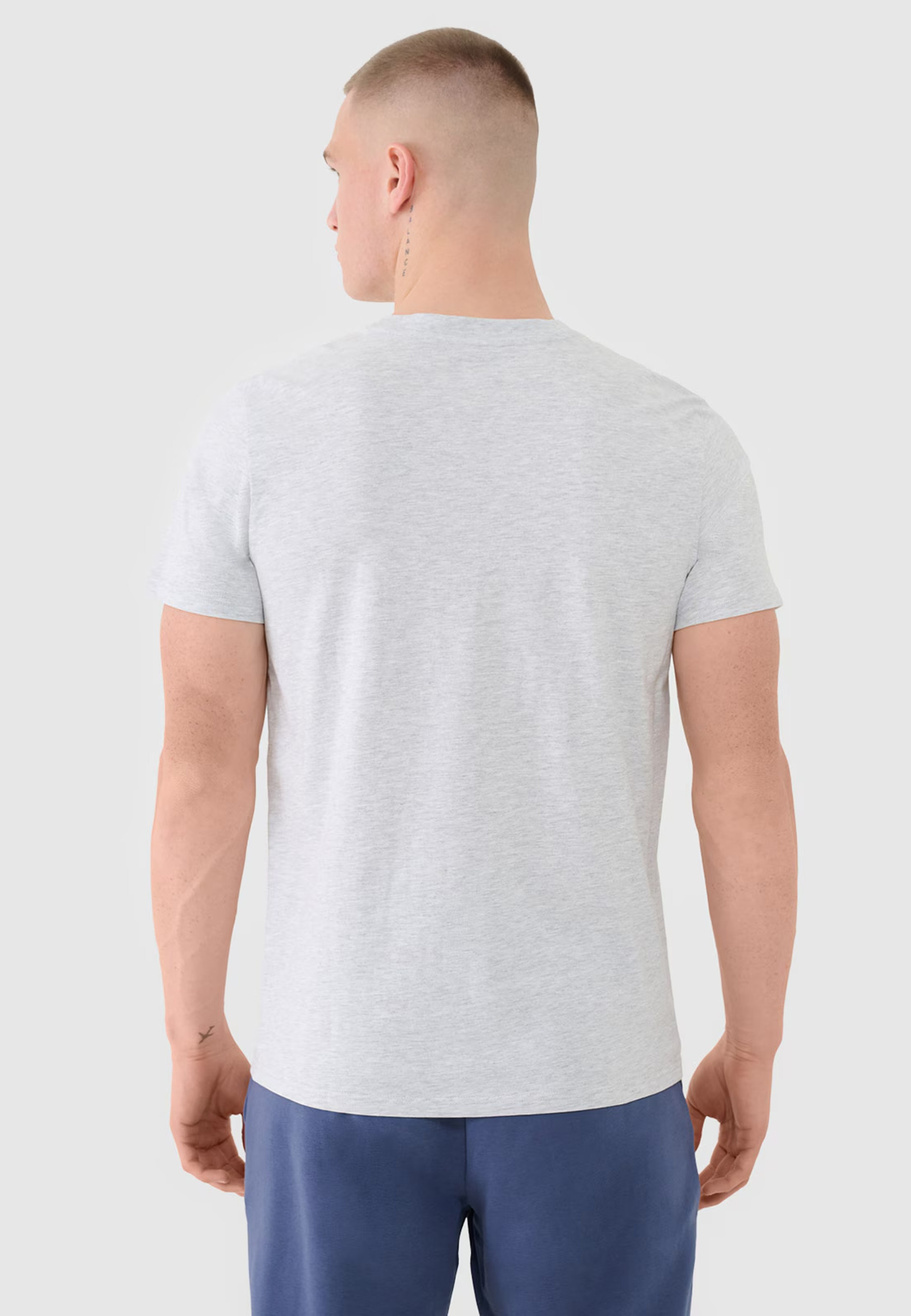 Koszulka Męska 4F T-shirt Basic Regular Szary 4FWMM00TTSHM2256