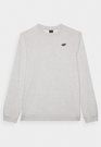 Bluza Dresowa Męska 4F Bez Kaptura Basic Szara 4FWMM00TSWSM1767