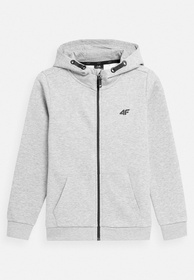 Bluza Dziecięca 4F Chłopięca Szara